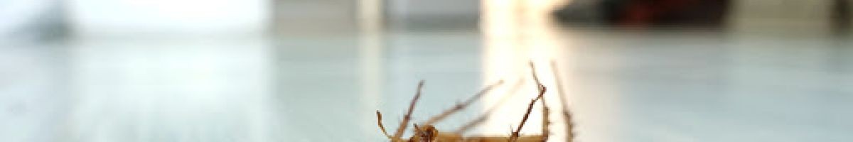 Century Pest Control