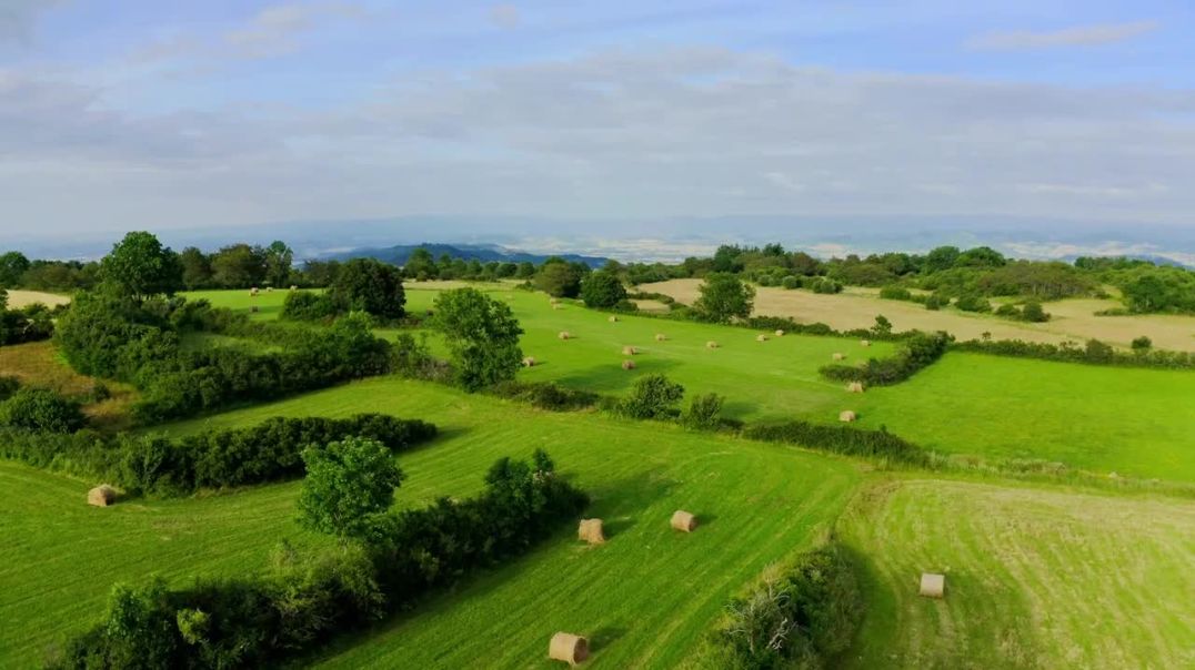 Revolutionizing Farming How ZenaDrone Transforms Agriculture