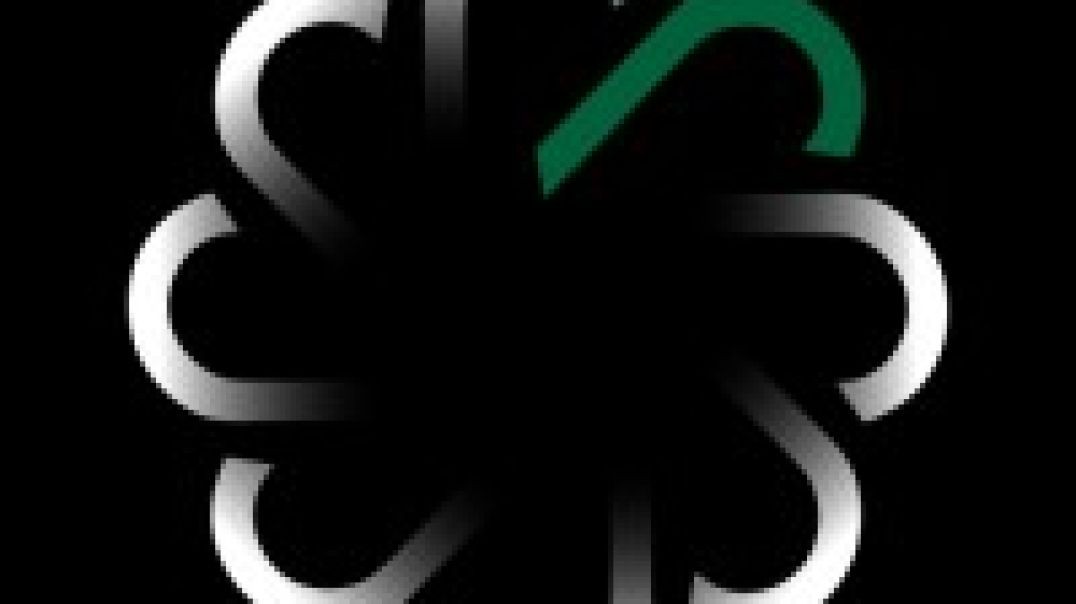 Digital PR for Strong Online Visibility and Brand Authority